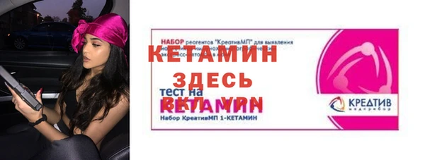 молекула духа Богородицк