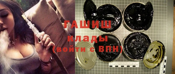 молекула духа Богородицк