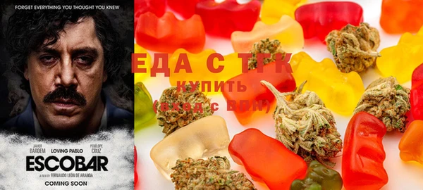 молекула духа Богородицк
