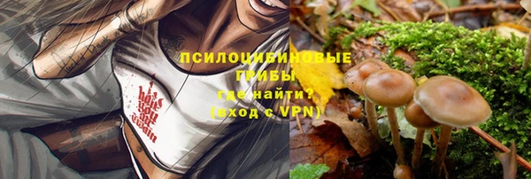 ALPHA-PVP Богородск