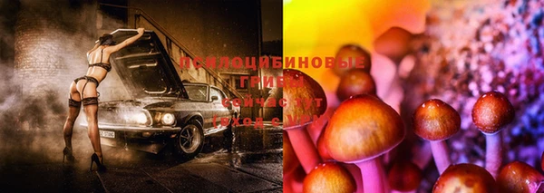 mdpv Беломорск