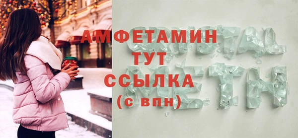 молекула духа Богородицк